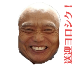 255051909