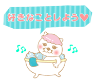25505357