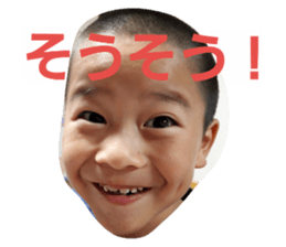 25506186