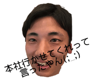 255076136