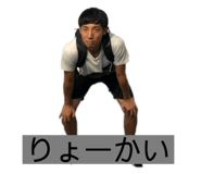 255076146