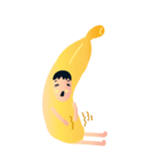 255078443