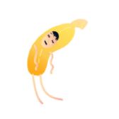 255078458