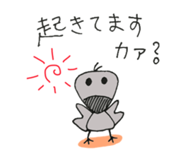2551067