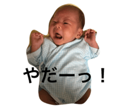 25515287