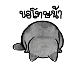 255161643