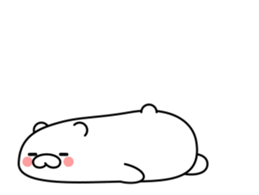 25521137