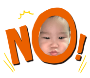 255259640