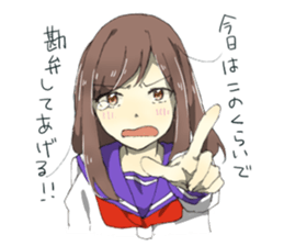 2553206