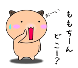 255322467