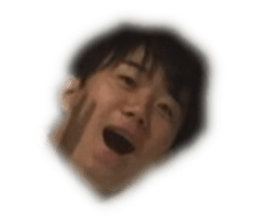 255353724