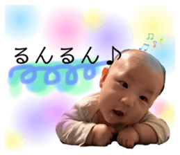 255360181
