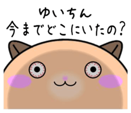255395797