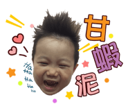 25542767