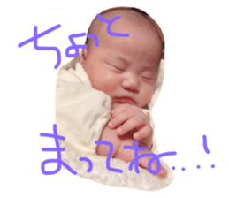25545023