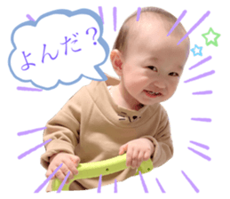 255461662