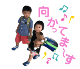 255484730