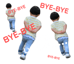 255484760