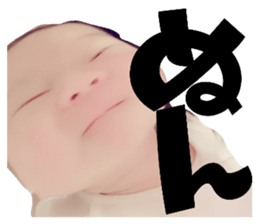 25549743