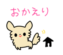 2555031