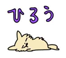 2555034