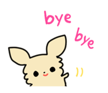 2555037