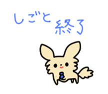 2555039