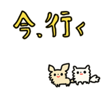 2555041