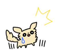 2555053