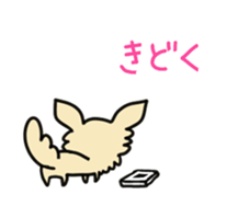 2555055