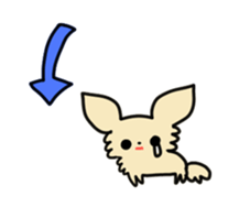 2555058