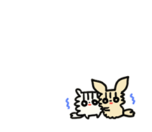 2555061