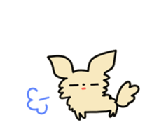 2555063