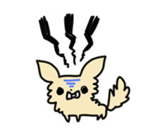 2555065