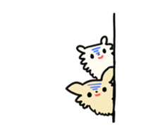 2555068