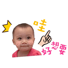 25552956
