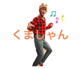255593702