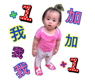 25559490