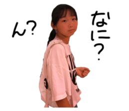 255599954
