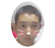 255615447