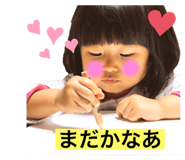 255653273