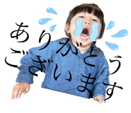 255653274