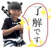 255653275