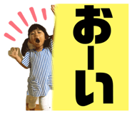 255653278