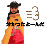 255653290