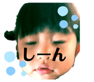 255653292