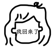 255662035