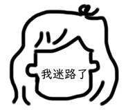 255662036