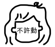 255662053