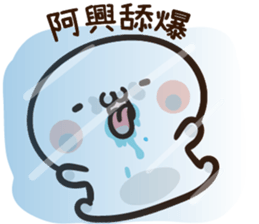 255756424